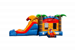 Tropical Inferno Pool and Stopper LG Combo -Dry Only