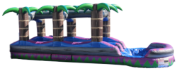 Purple Crush Slip N Slide
